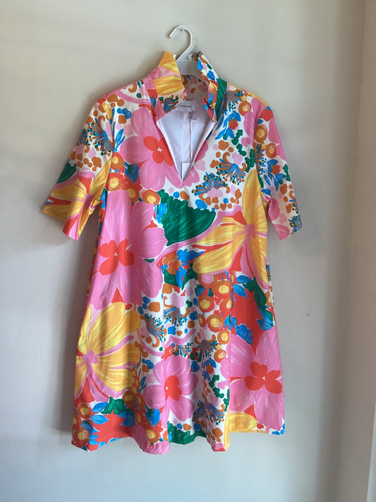 Adrienne ruffle collar A line multi color dress