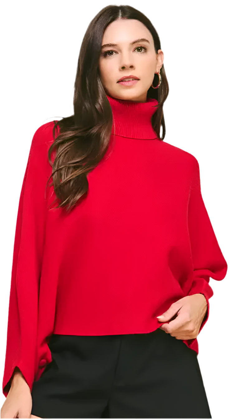 Turtleneck Raglan Sleeve Sweater -Red