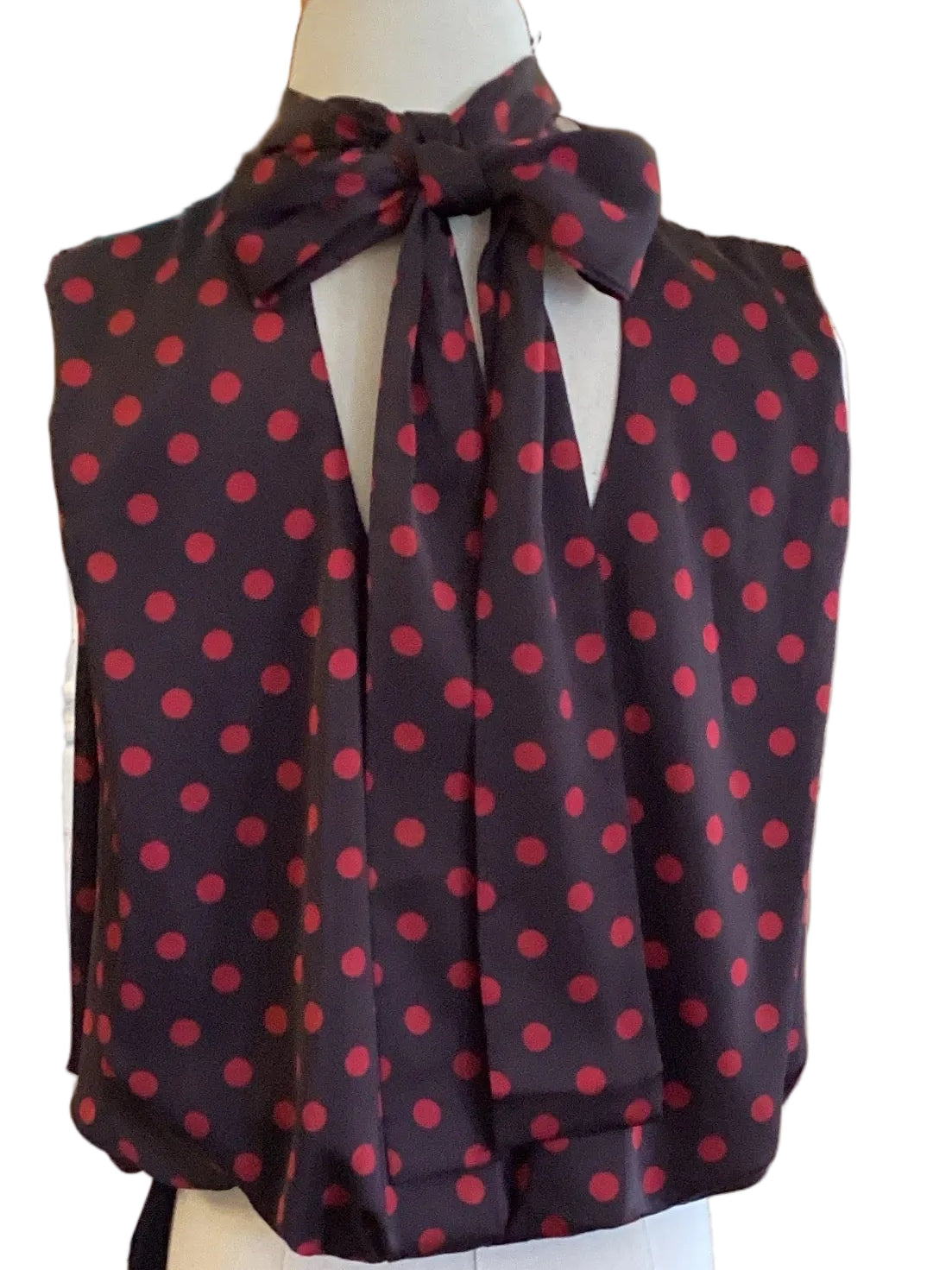 Entro brown with red polka dot sleeveless mock tie neck back bow bubble top