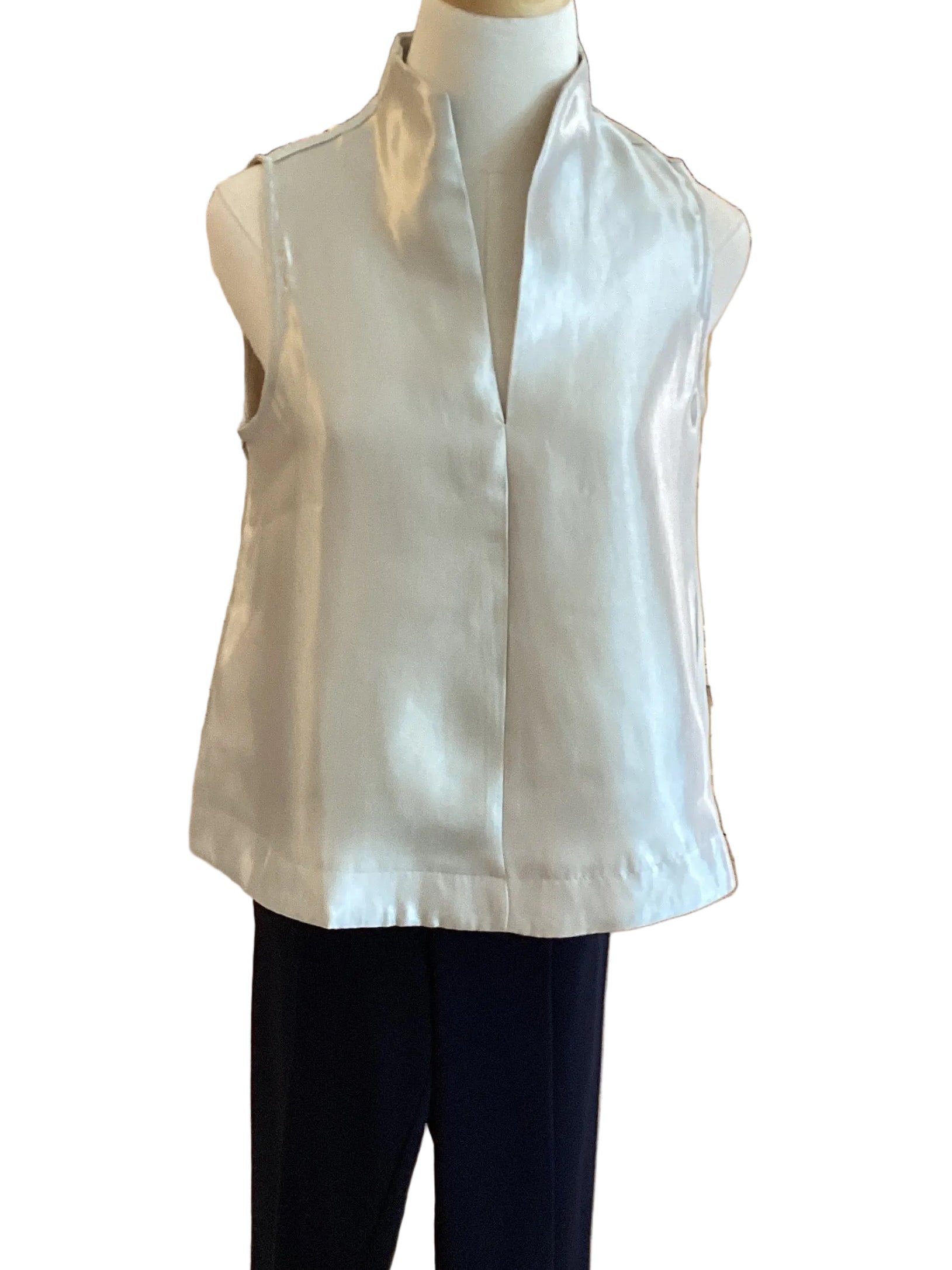 Glam champagne standup v neck sleeveless blouse